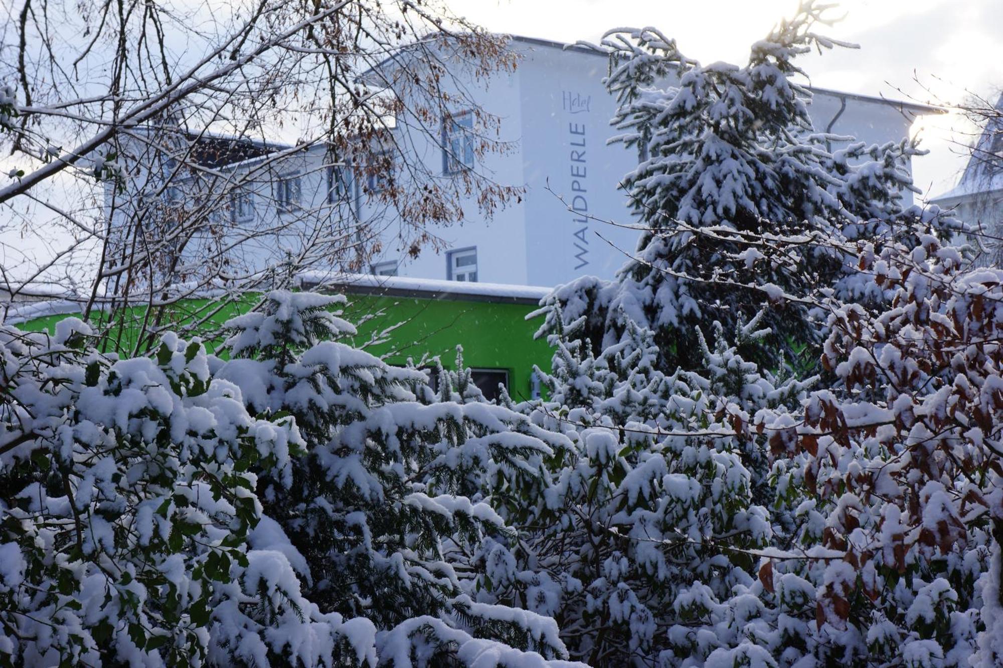 Hotel Waldperle Graal-Mueritz